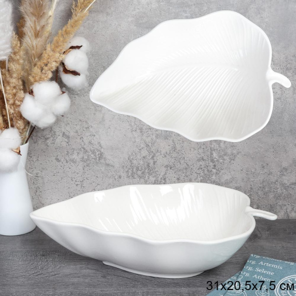 748528.jpg 748528.jpg