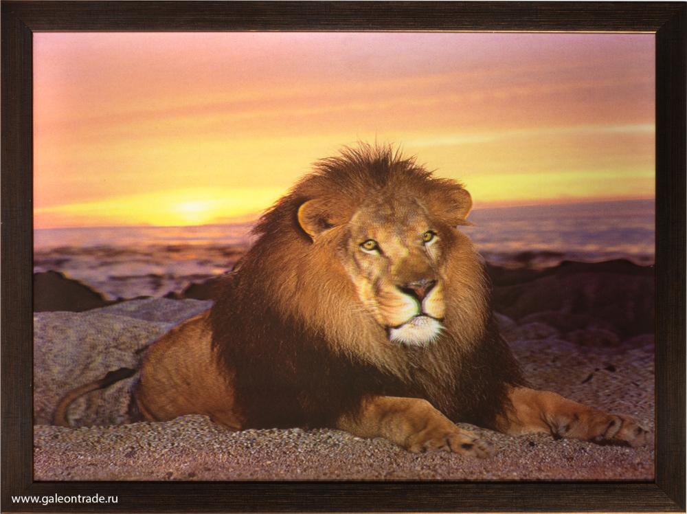 Картина 5D 30х40 190 Властелин /KS1912-1 /