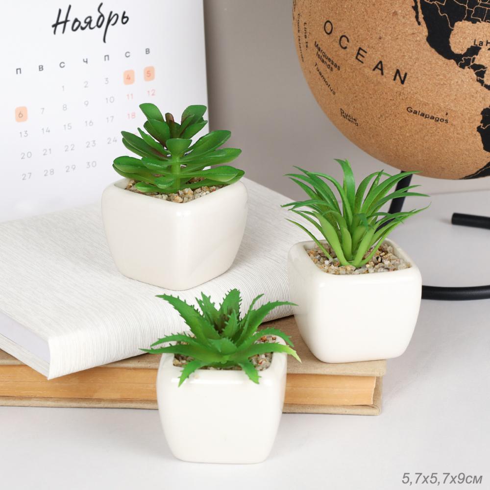 Цветочная композиция Кактус 9 см / FA2891 /уп 12/192/