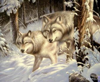 Оригинал вышивки «Волки в зимнем лесу»