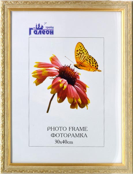 Фоторамка 30х40 /10103-2/уп10/
