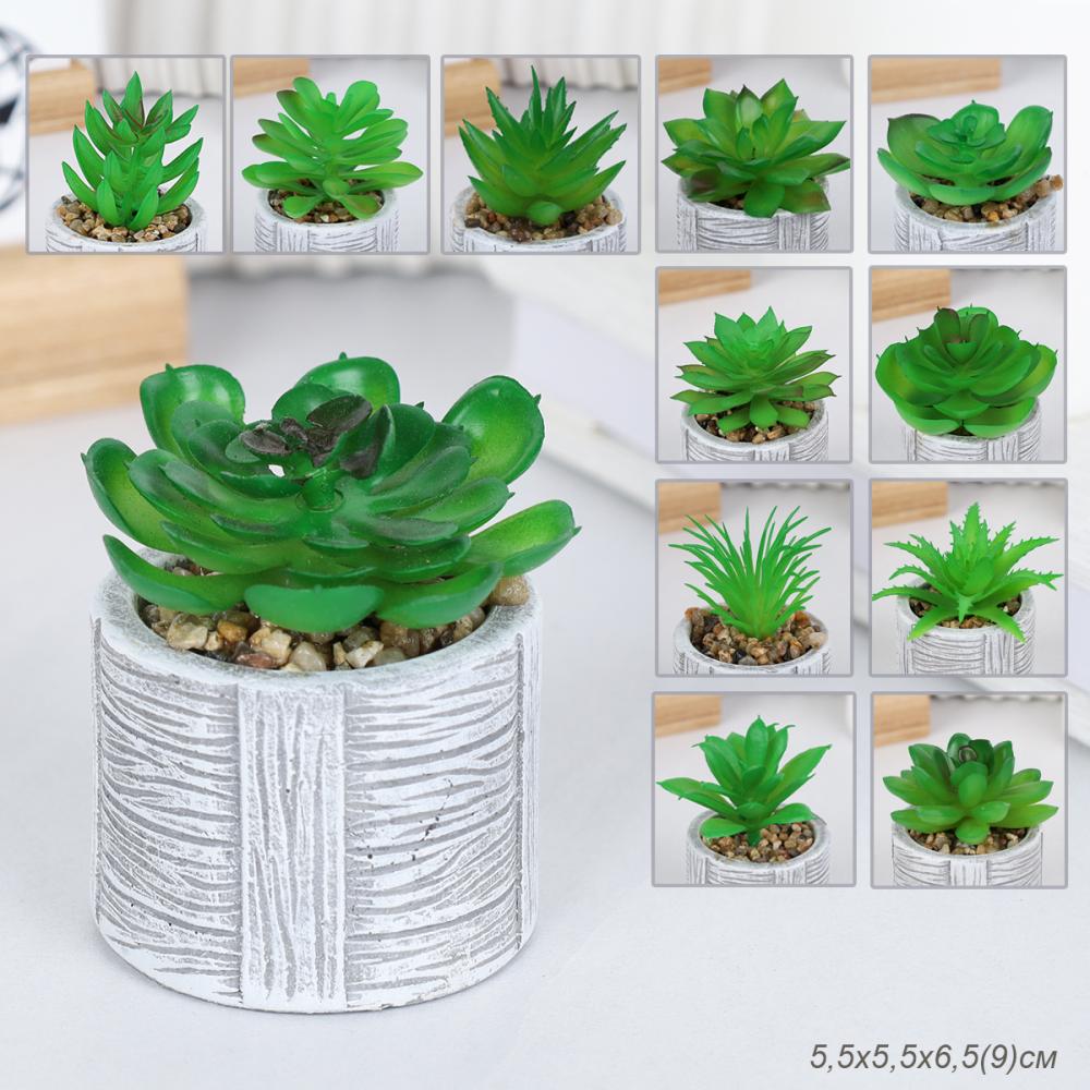 Цветочная композиция Кактус / WER-22 /уп 12/192/ микс