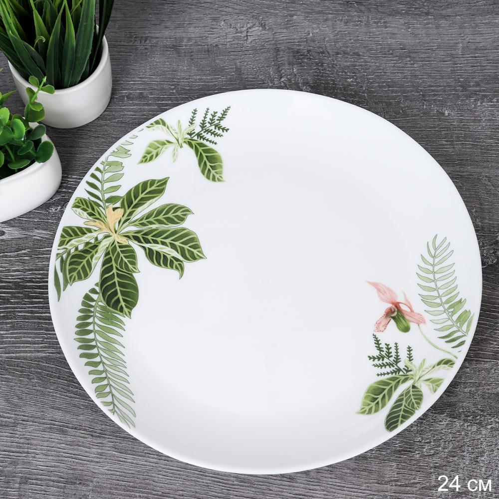 Тарелка 240 мм Евро / 30/LGW67595 (6750) /уп 2/ Тропики