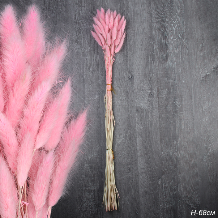 Сухоцвет 60 штук набор 68 см Лагурус / SG-012 /уп 300/розовый