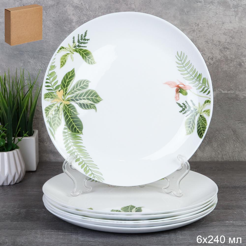 Набор тарелок 6 штук 240 мм Евро / 30/LGW67595 (6750) /уп 6/ Тропики