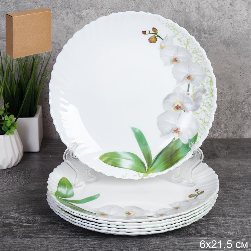 Набор тарелок 6 штук 215 мм / LHP-85XN (7415) /уп 8/ 748958