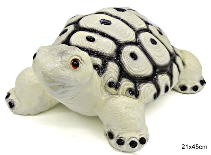 Морская черепаха обнаружена в водах Охотского моря