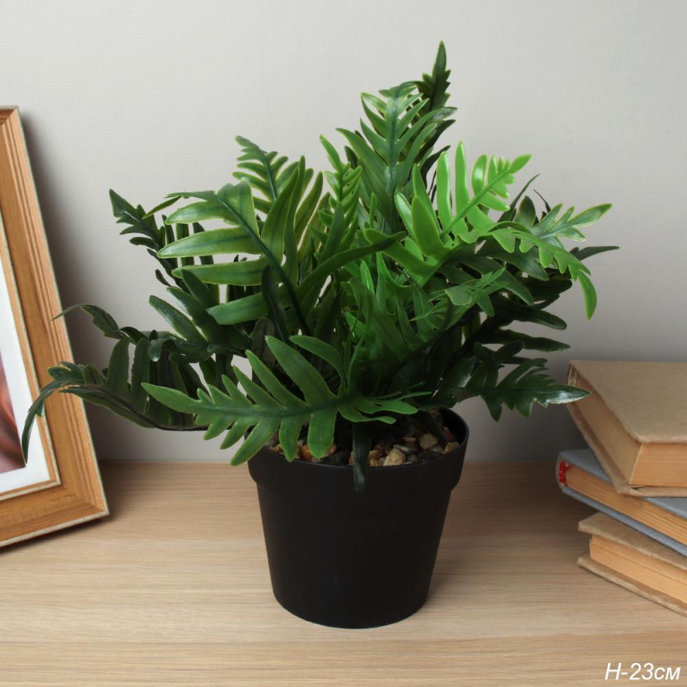 Цветочная композиция Папоротник 23 см / ZH-019 /уп 108/