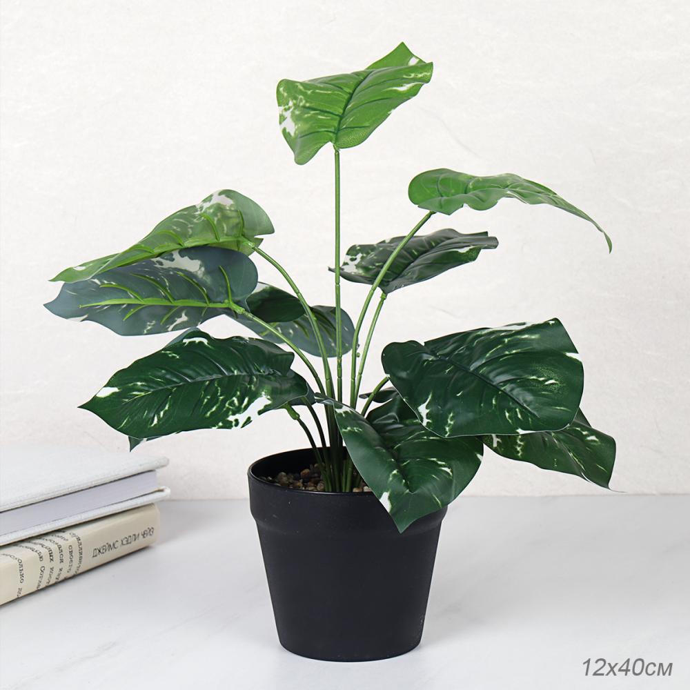 Цветочная композиция Сциндапсус 40 см / ZH-009 /уп 48/