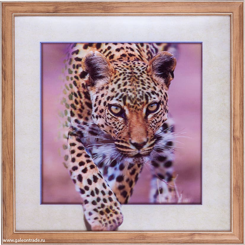 Картина 5D 40х40 002 Гепард / ZR8210H-222411 /