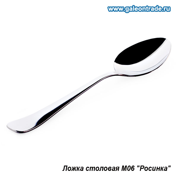 Ложка столовая Росинка М06 19,5 см / н01м06 /уп.6/120/