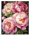 Алмазная мозаика на подрамнике 40x50 Пионы / YSG28001 /уп 30/