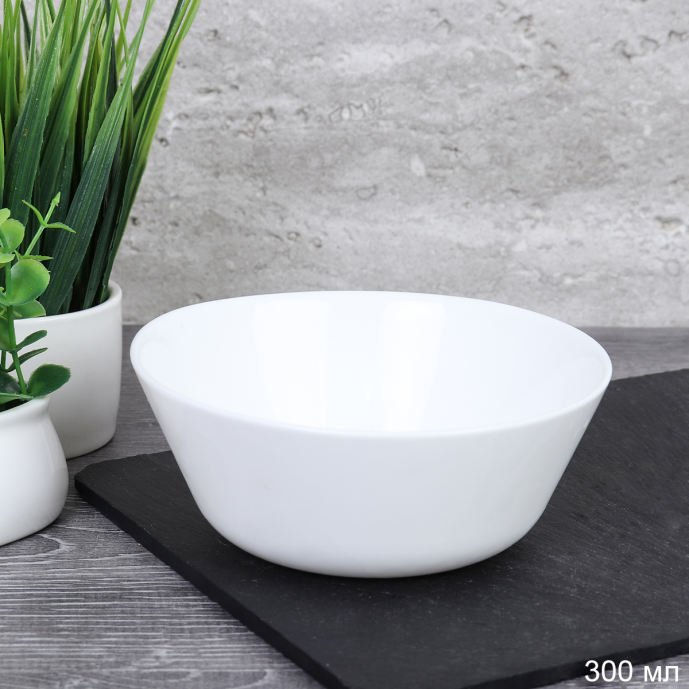 Бульонница 300 мл 115 мм Евро EVR45 (white) /уп 6/108/ 743168