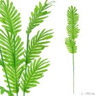 Сухоцвет набор 5 штук / 196-S /уп 140/