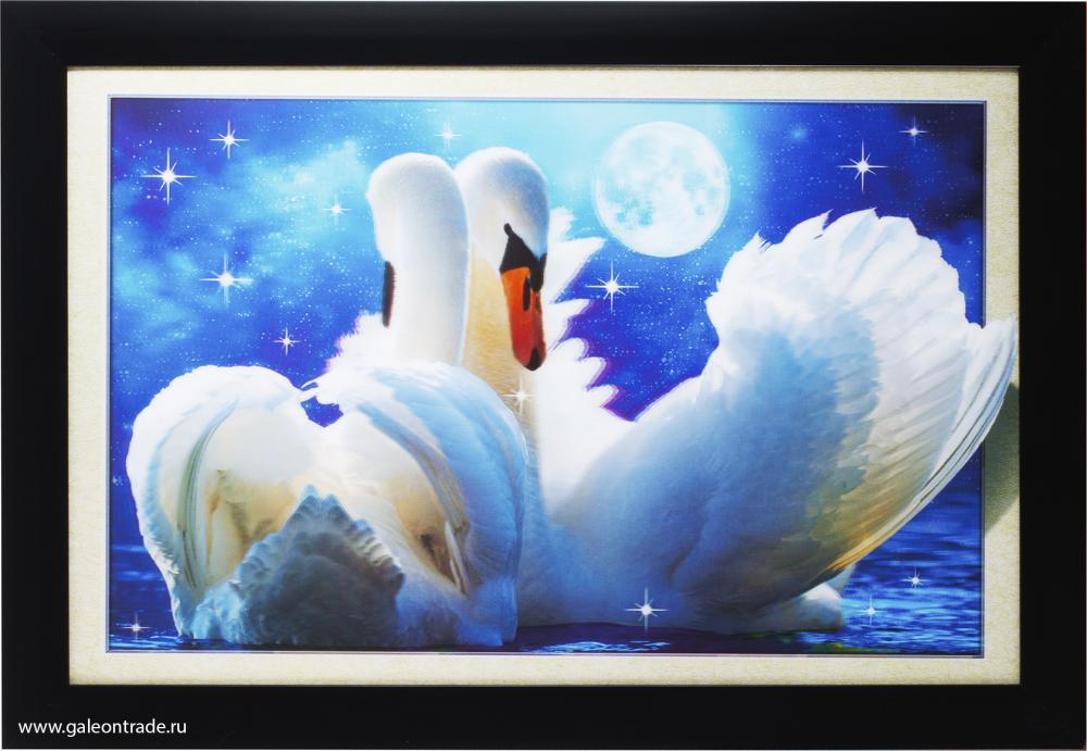 Картина 5D 40х60 9154  Лебеди / 2900A-012C /