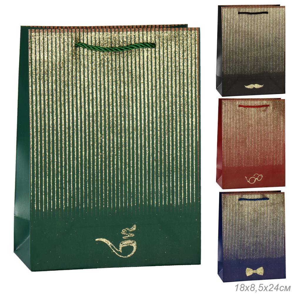 Пакет подарочный 18x24x8,5 / 24823S /уп 12/720/23 февраля