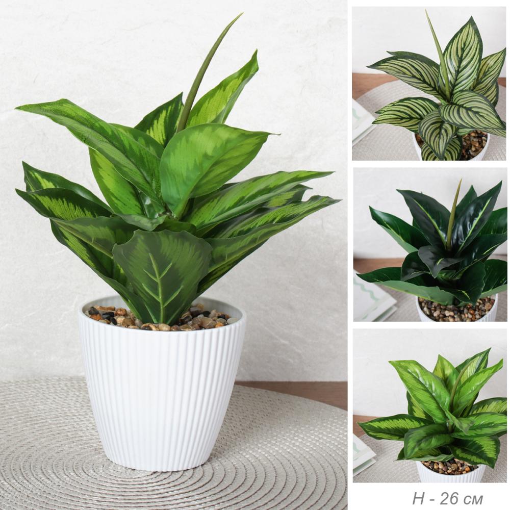 Цветочная композиция Диффенбахия 26 см / 9090-12 /уп 12/72/