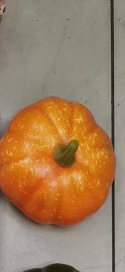 703805