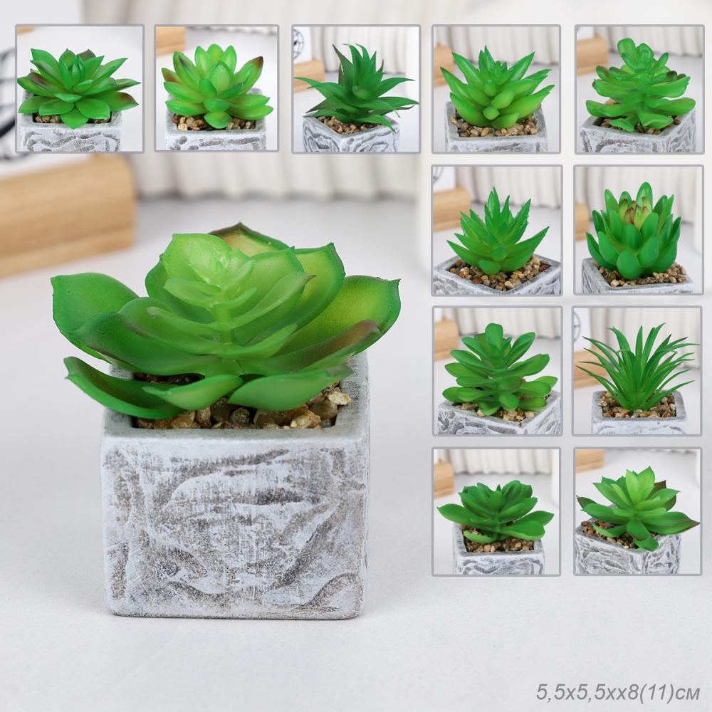 Цветочная композиция Кактус / WER-21 /уп 12/192/ микс