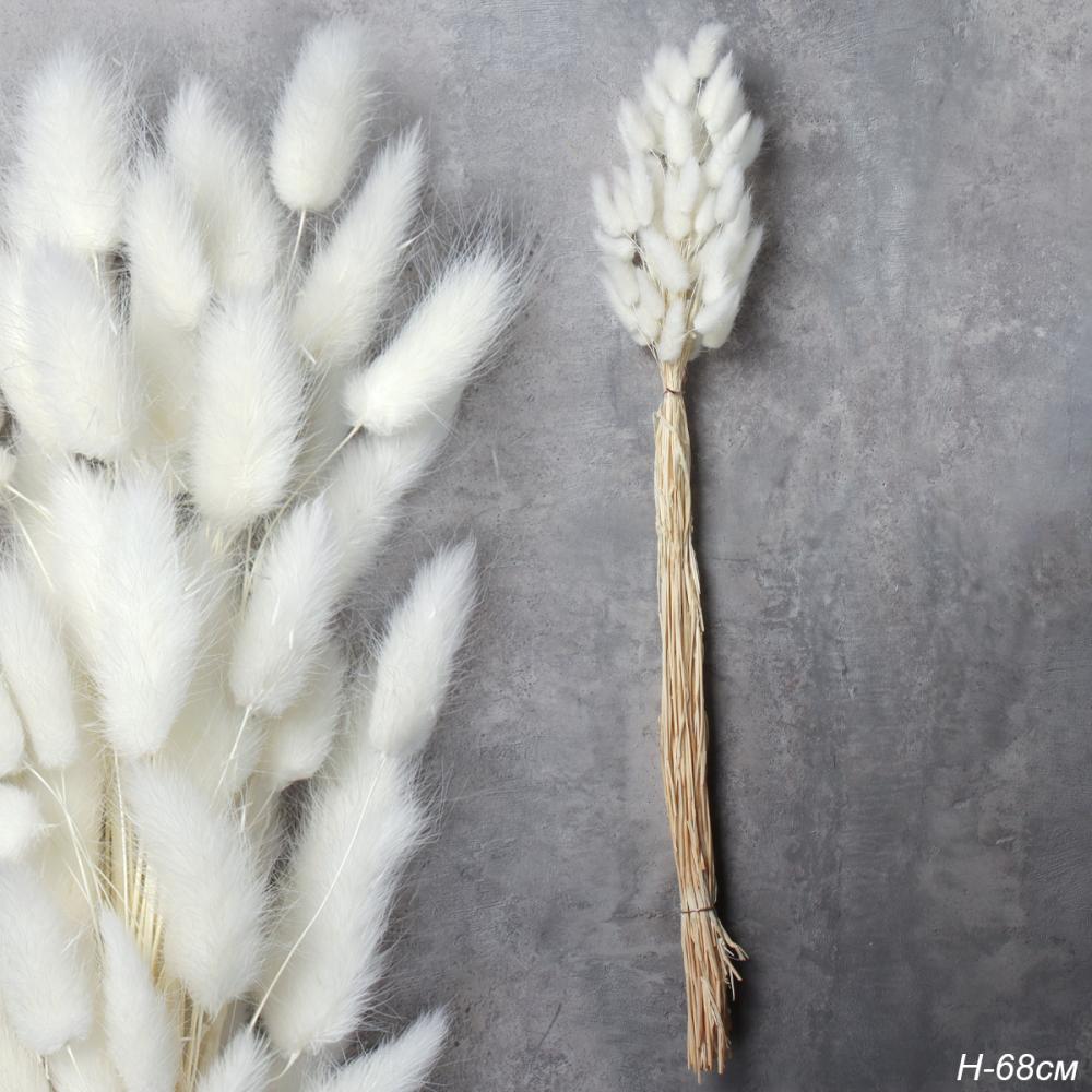 Сухоцвет 60 штук набор 68 см Лагурус / SG-005 /уп 300/белый