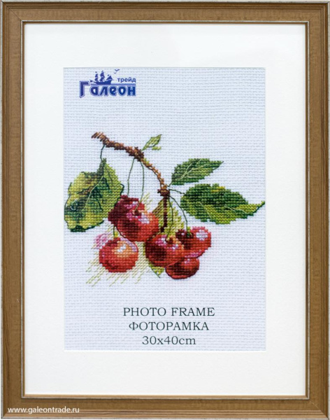 622366.jpg
