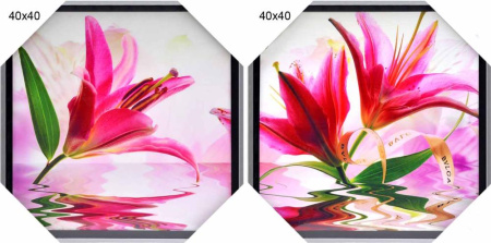 Картина-диптих 40x40 HA-7991,7992/2002B-012C/уп2/