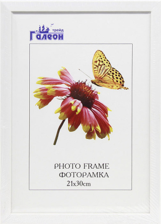 Фоторамка 21х30 /1504А-012AL/