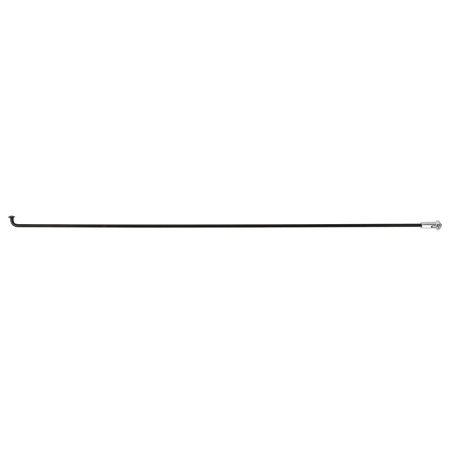 753017.jpg