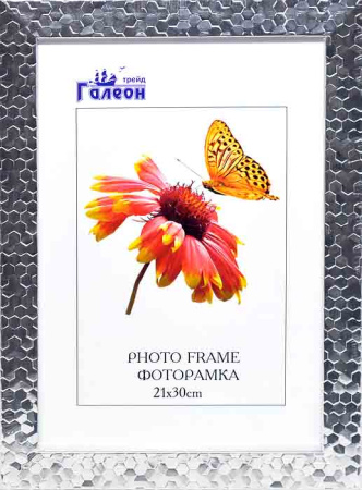 Фоторамка 21х30 /2703G-004D/