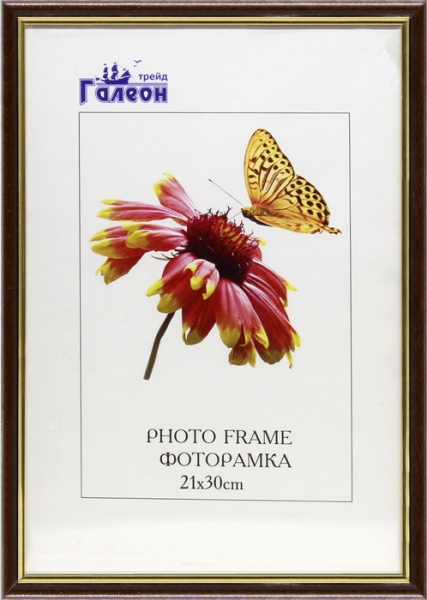 Фоторамка 21х30 /1300В-703А1/