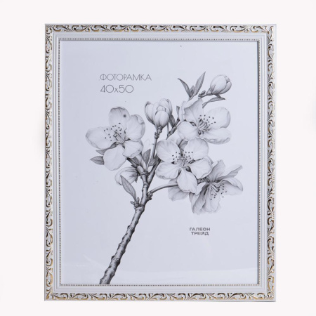 Фоторамка 40х50 /8910-A12A11/