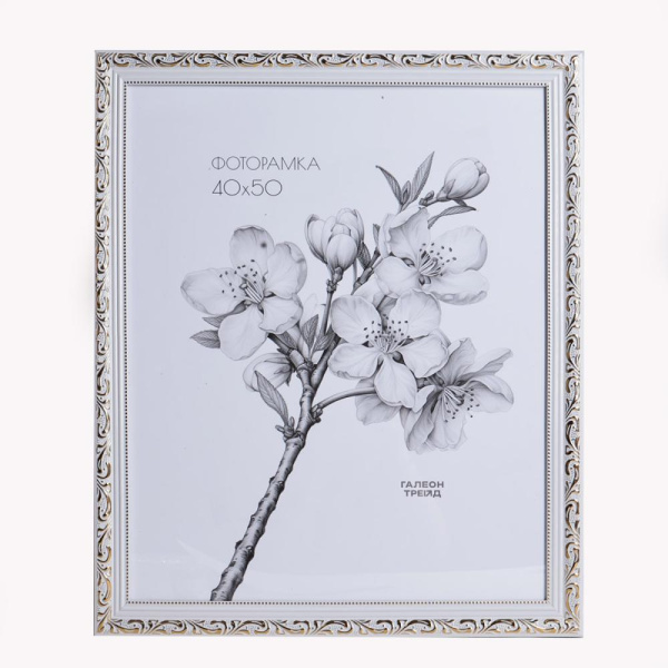 Фоторамка 40х50 /8910-A12A11/