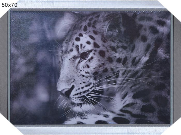 Постер в раме 50х70 К470 /KS4720-2/