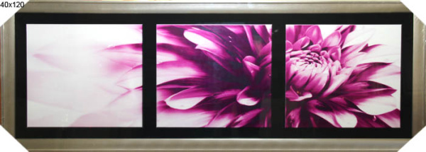 Постер в раме 40x120 / HA-3992/4100B-147A4/
