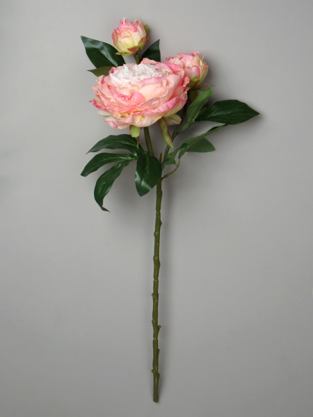 739923-1.jpg