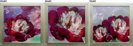 Картина 60х60 см Пионы микс / 60*60B /уп.3/18/ АКЦИЯ 