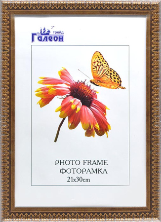 Фоторамка 21х30 /HT9232-215/
