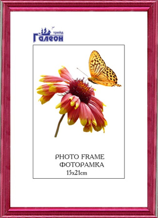 Фоторамка 15x21/10089-4/