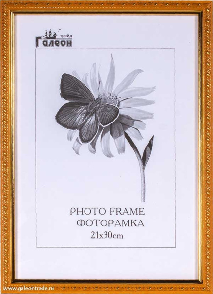 Фоторамка 21х30 /1500C-004C/