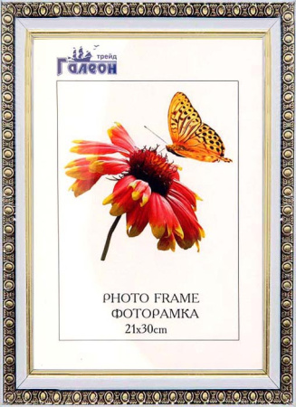 Фоторамка 21х30 /1702C3-012А1/уп10/