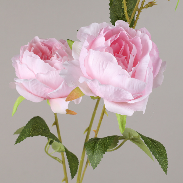739879-2.jpg