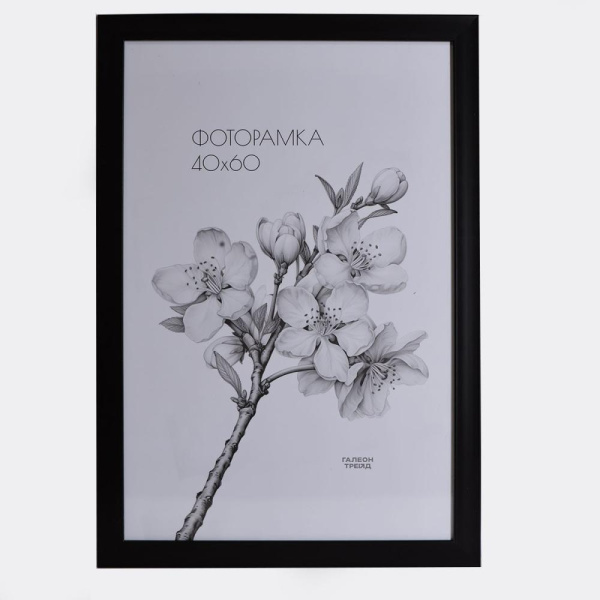 Фоторамка 40х60 /4017-620/