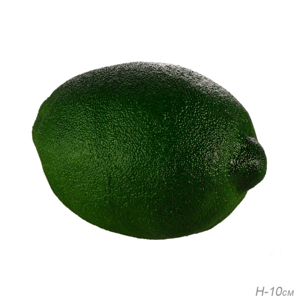 683305.jpg