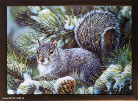 Картина 5D 30х40 197 Белка / ZR8210H-222411 / 659799 (50)