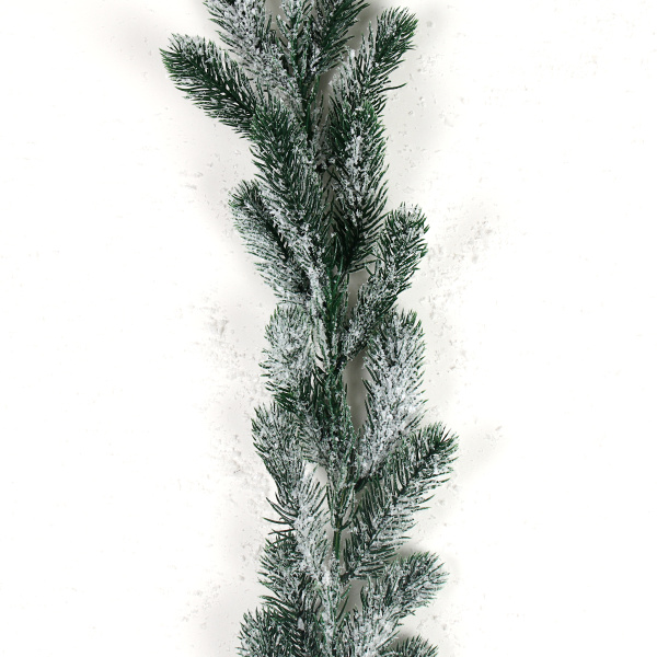 717808-2.jpg