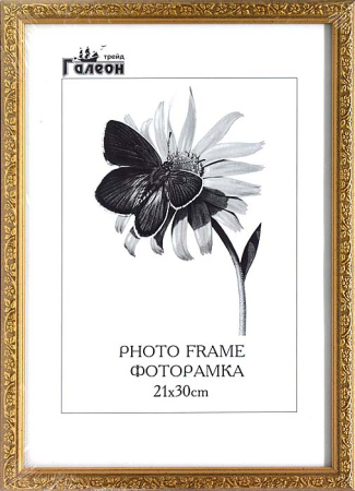 Фоторамка 21х30 /10108-2/уп10/