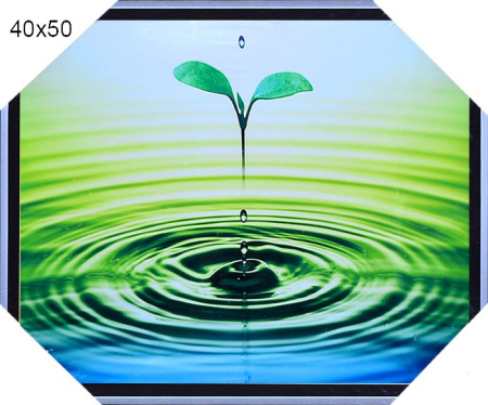 Постер в раме 40х50  / HC-204 /2002B-012C/