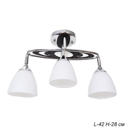 Основное фото