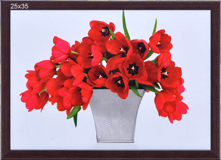 Постер в раме 25х35 Букет красных тюльпанов / Art29 /2004C-036A/