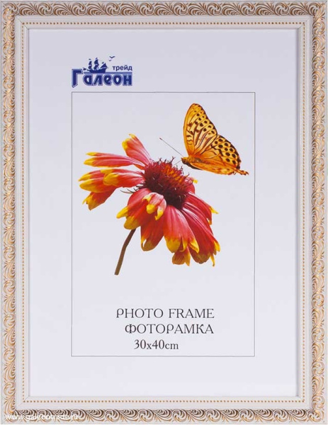 Фоторамка 30x40 /10057-19/